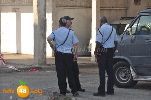 ta3n ludj31 (14).JPG